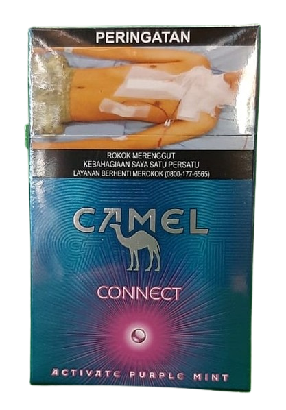 Camel Connect 20